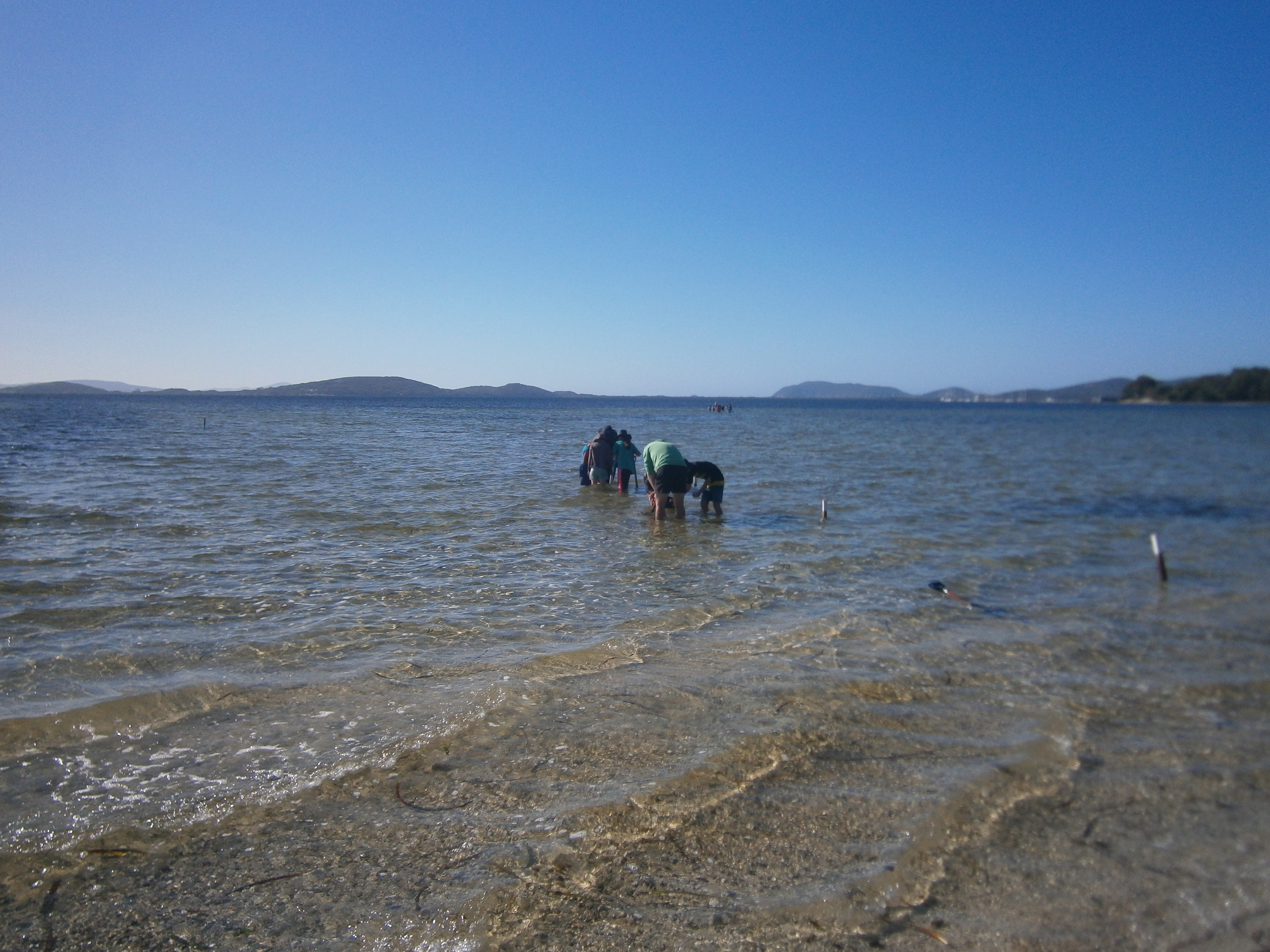 /uploaded_files/media/gallery/1551834662Marine Studies (7).JPG